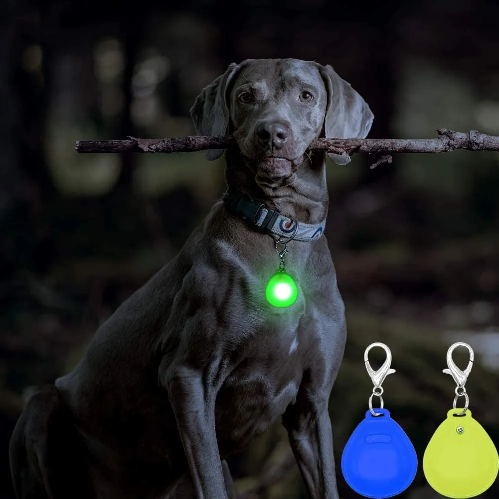 BSEEN 2 Pack LED Dog Tags