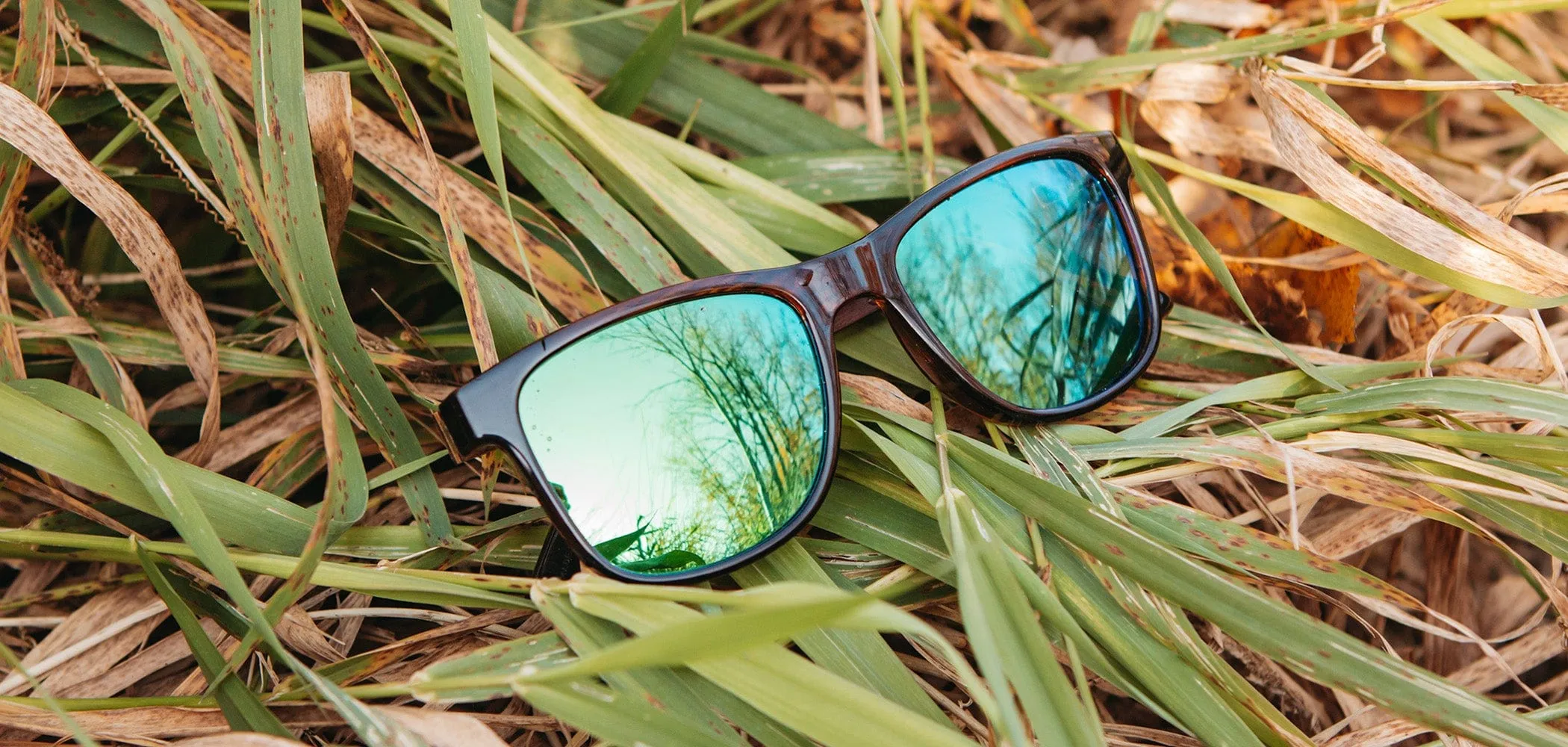 CAMP Trail Sunglasses