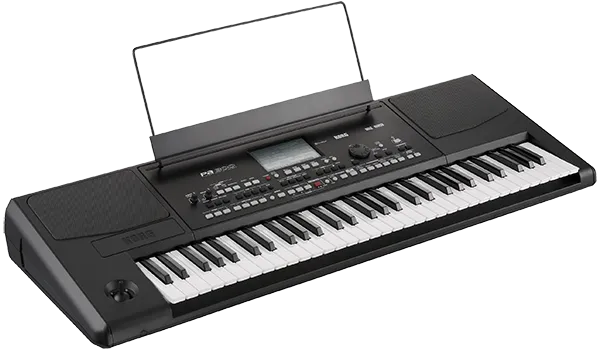 Korg PA-300 Professional Arranger Keyboard