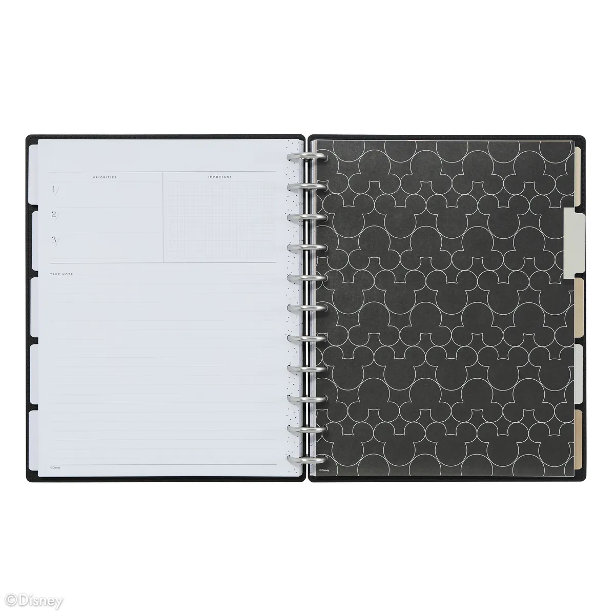 Undated DELUXE Disney Mod Mickey Mouse Customizable Planner -  Big Horizontal Layout - 12 Months