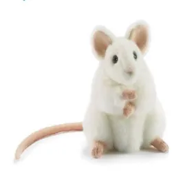 White German Mouse - Hansa